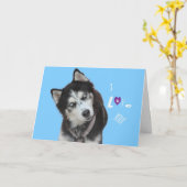 Siberische Husky Verjaardag Kaart (Gele Bloem)