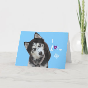 Siberische Husky Verjaardag Kaart