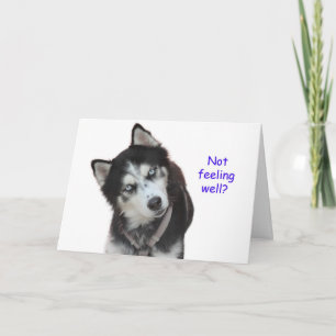 Siberische Husky wordt beter Kaart
