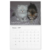 Siberische kalender 2008 (Feb 2027)