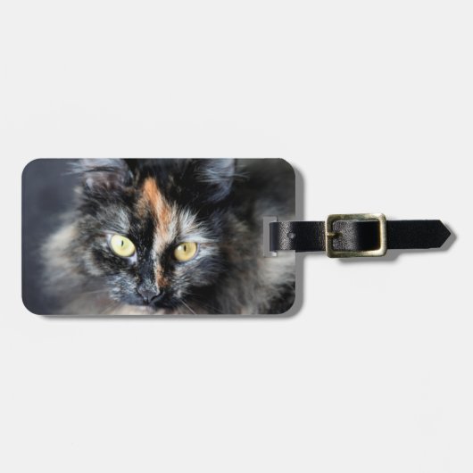 Siberische kat bagagelabel (Voorkant horizontaal)