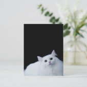 Siberische kat briefkaart (Staand voorkant)