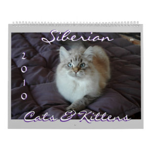Siberische kat en Kittens Agenda B 2010 Kalender