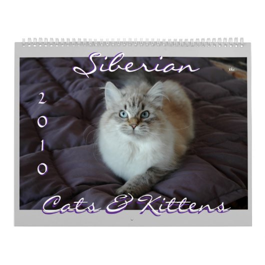 Siberische kat en Kittens Agenda B 2010 Kalender (Hoes)