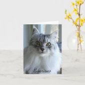 Siberische kat kaart (Gele Bloem)