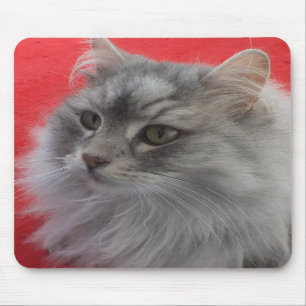 Siberische kat Mousepad Muismat