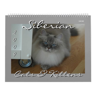 Siberische katten en kalender voor Kittens Final2