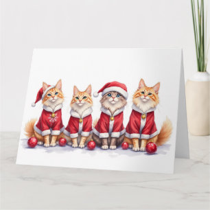 Siberische Katten Kerst Jurk Kerstman Hoed Kaart