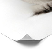 Siberische kattenkunst poster (Hoek)