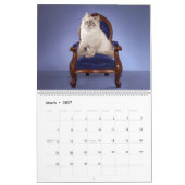 Siberische Kittens kalender (Mar 2027)