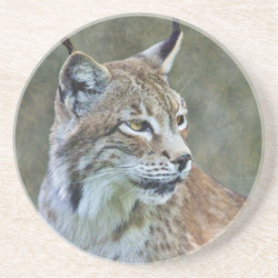 Siberische Lynx Achtbaan Zandsteen Onderzetter