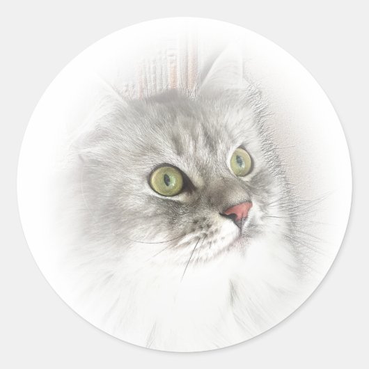 Siberische ogen Stickers (Voorkant)