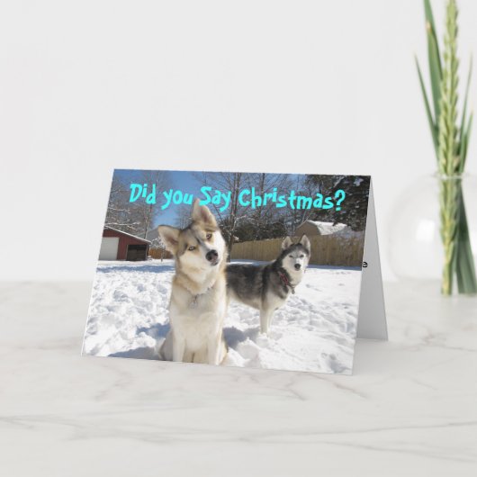 Siberische Schor Kerstkaart Feestdagen Kaart (Voorkant)