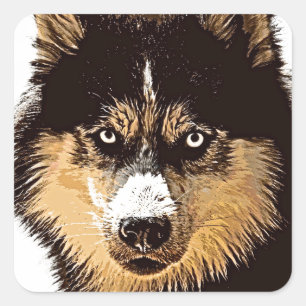 Siberische Schor Vierkante Sticker