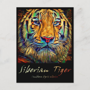Siberische tijger [Briefkaart] Briefkaart