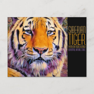 Siberische tijger [Briefkaart] Briefkaart