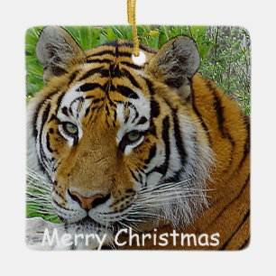 Siberische Tijger Close-up Foto van Gezicht Keramisch Ornament