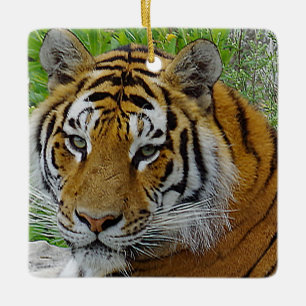 Siberische Tijger Close-up Foto van Gezicht Keramisch Ornament