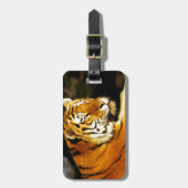 Siberische tijger in de avond bagagelabel (Voorkant verticaal)