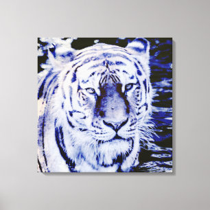 Siberische tijger op canvas gewikkeld afdruk