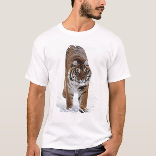 Siberische tijger op sneeuw t-shirt (Voorkant)