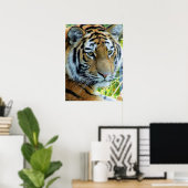 Siberische tijger, Poster van Amur Tiger (Thuiskantoor)