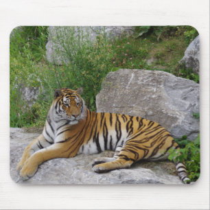 Siberische Tijger Rustend op een Rots Muismat
