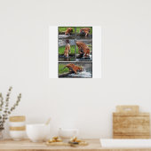 Siberische tijgerposter poster (Keuken)