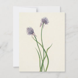 Siberische uien door Mary Vaux Walcott Notitiekaartje