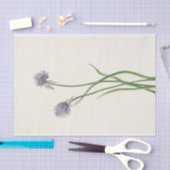 Siberische uien door Mary Vaux Walcott Tissuepapier (Craft)