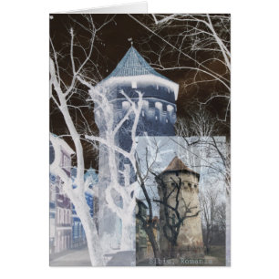 Sibiu, tour de défense