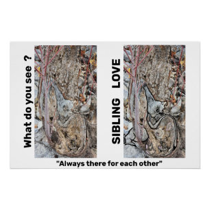 Sibling Love Poster Perfect Poster