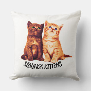 Siblings kittens, twee schattige katten kussen