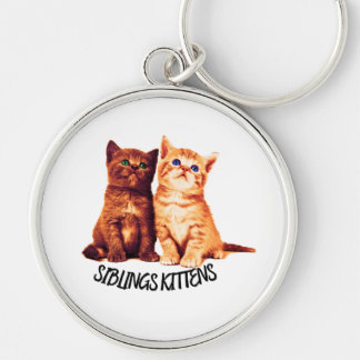 Siblings kittens, twee schattige katten sleutelhanger
