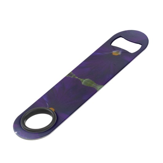 Sibylla (Devant angulaire)