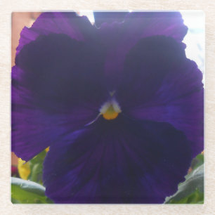 Sibylla Glazen Onderzetter