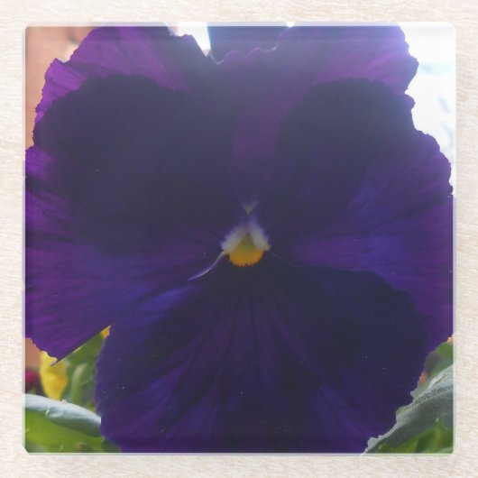 Sibylla Glazen Onderzetter (Voorkant)