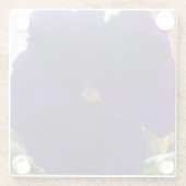 Sibylla Glazen Onderzetter (Achterkant)