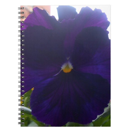 Sibylla Notitieboek (Voorkant)