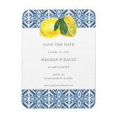 Siciliaanse blauwleeuwen in de Middellandse Zee sp Magneet (Verticaal)