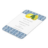 Siciliaanse blauwleeuwen in de Middellandse Zee sp Magneet (Linkerzijde)