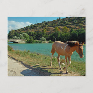 Sicilië Briefkaart