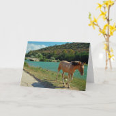 Sicilië Kaart (Gele Bloem)