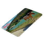 Sicilië Magneet (Linkerzijde)