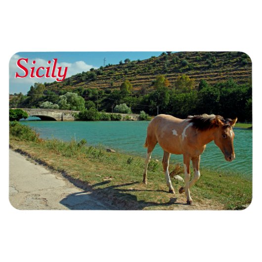 Sicilië Magneet (Horizontaal)