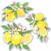 Sicilienne Sticker Floral Citrus Citrus Méditerran (Devant)