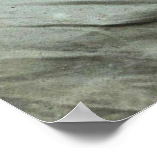 Sick as a Dog  Magic Lantern Slide Poster (Hoek)