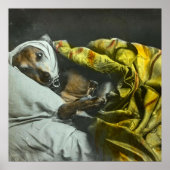 Sick as a Dog  Magic Lantern Slide Poster (Voorkant)