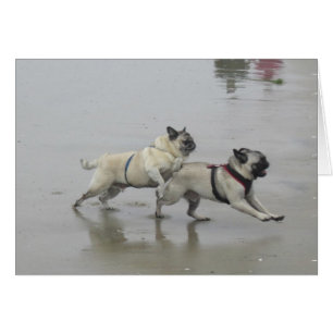 Sid Precious en Hemi in Dog Beach, San Diego