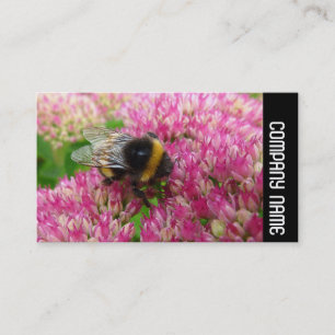 Side Band - Bumble Bee op Vetkruid Visitekaartje